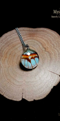 Handmade Siproeta stelenes butterfly wing necklace 20mm, glass lens pendant, real wing jewelry, gift-ready for women
