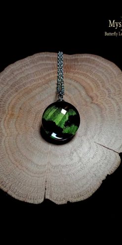 Sunset Butterfly Wing Necklace – Urania ripheus green pattern wing glass pendant
