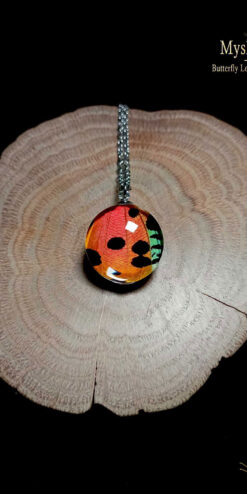 Real Urania ripheus sunset butterfly wing necklace (20mm) with vibrant red, orange and green wing preserved under glass lens, handmade nature jewelry gift for her