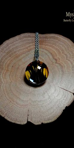 Bulk Papilio androgeus butterfly wing necklaces – handmade real wing pendants for businesses