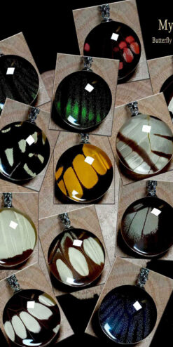 10-piece wholesale real butterfly wing necklaces set, budget-friendly handmade jewelry for US and EU retailers, gift shop display