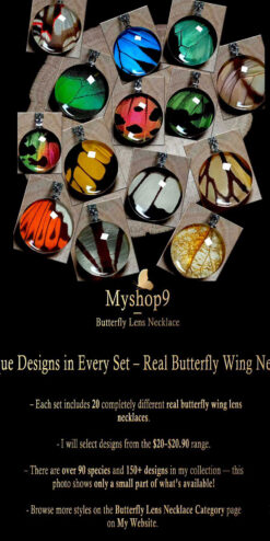Handmade 20-piece wholesale butterfly wing necklaces, real wings in glass pendants, perfect for gift shops and tourist stores