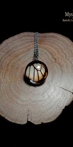 Wholesale Handmade Butterfly Lens Pendants – Eurytides dolicaon butterfly wing jewelry