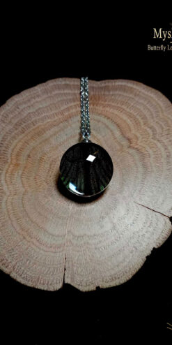 Wholesale Papilio maackii spring form butterfly wing necklaces, 20mm real wing pendants under glass, bulk nature-inspired jewelry for resellers and gift shops