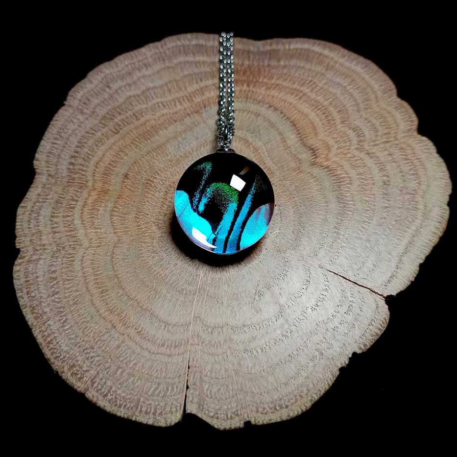 Papilio blumei green peacock butterfly wing with iridescent green pattern inspiring handmade necklace